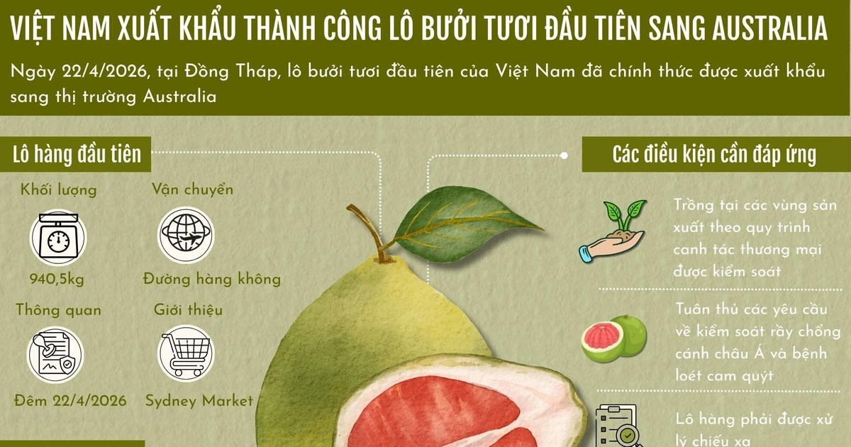 Việt Nam xuất khẩu thành công lô bưởi tươi đầu tiên sang Australia