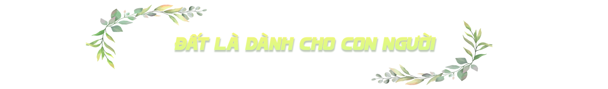 Phóng sự: Tình đất- Ảnh 12.