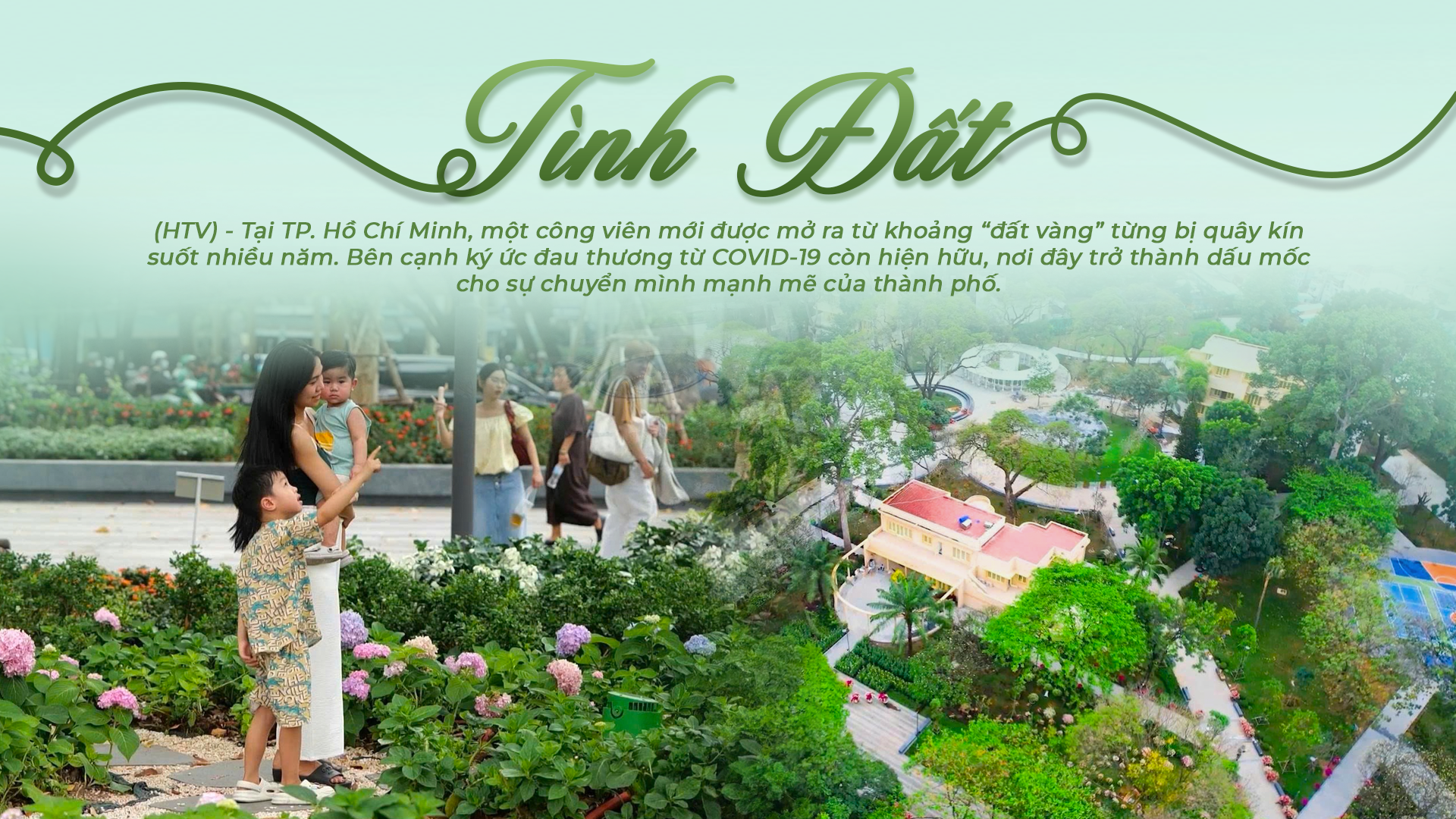 Phóng sự: Tình đất