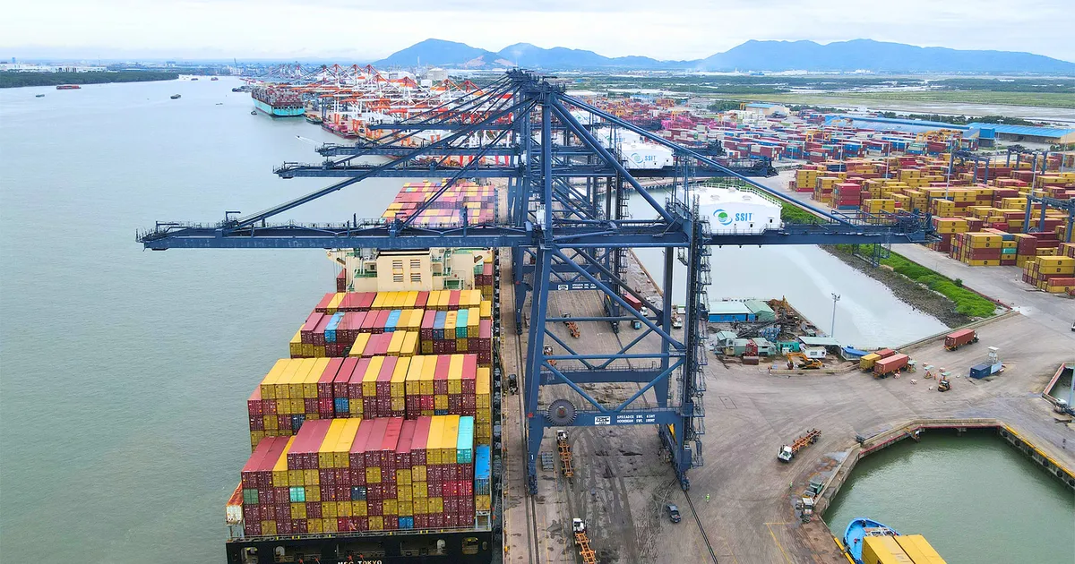 Từ rừng đước hóa siêu cảng