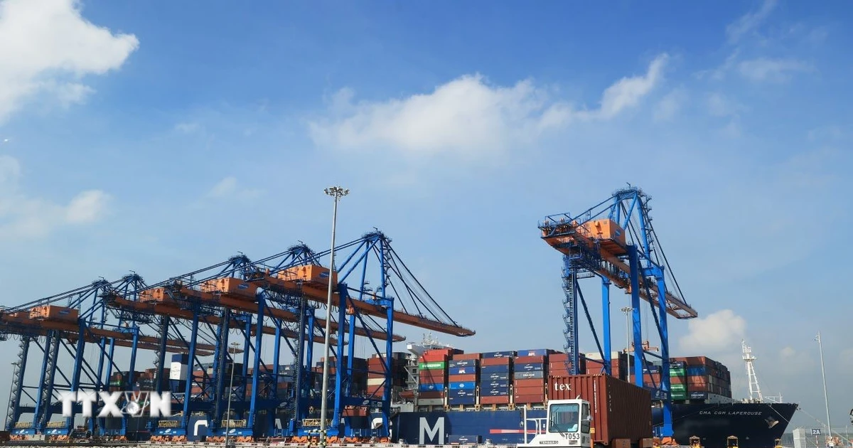 Gấp rút chuẩn bị khởi công, động thổ ba dự án cảng biển tại TP. Hồ Chí Minh- Ảnh 1.