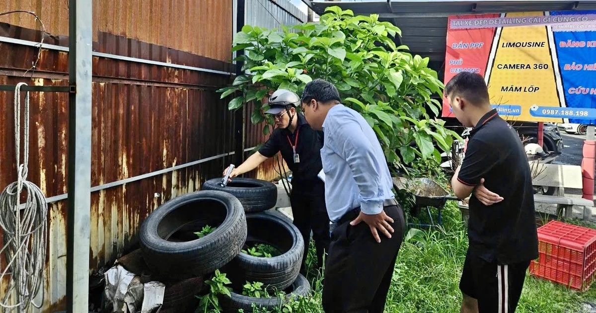 Thành phố Hồ Chí Minh chủ động phòng ngừa sốt xuất huyết