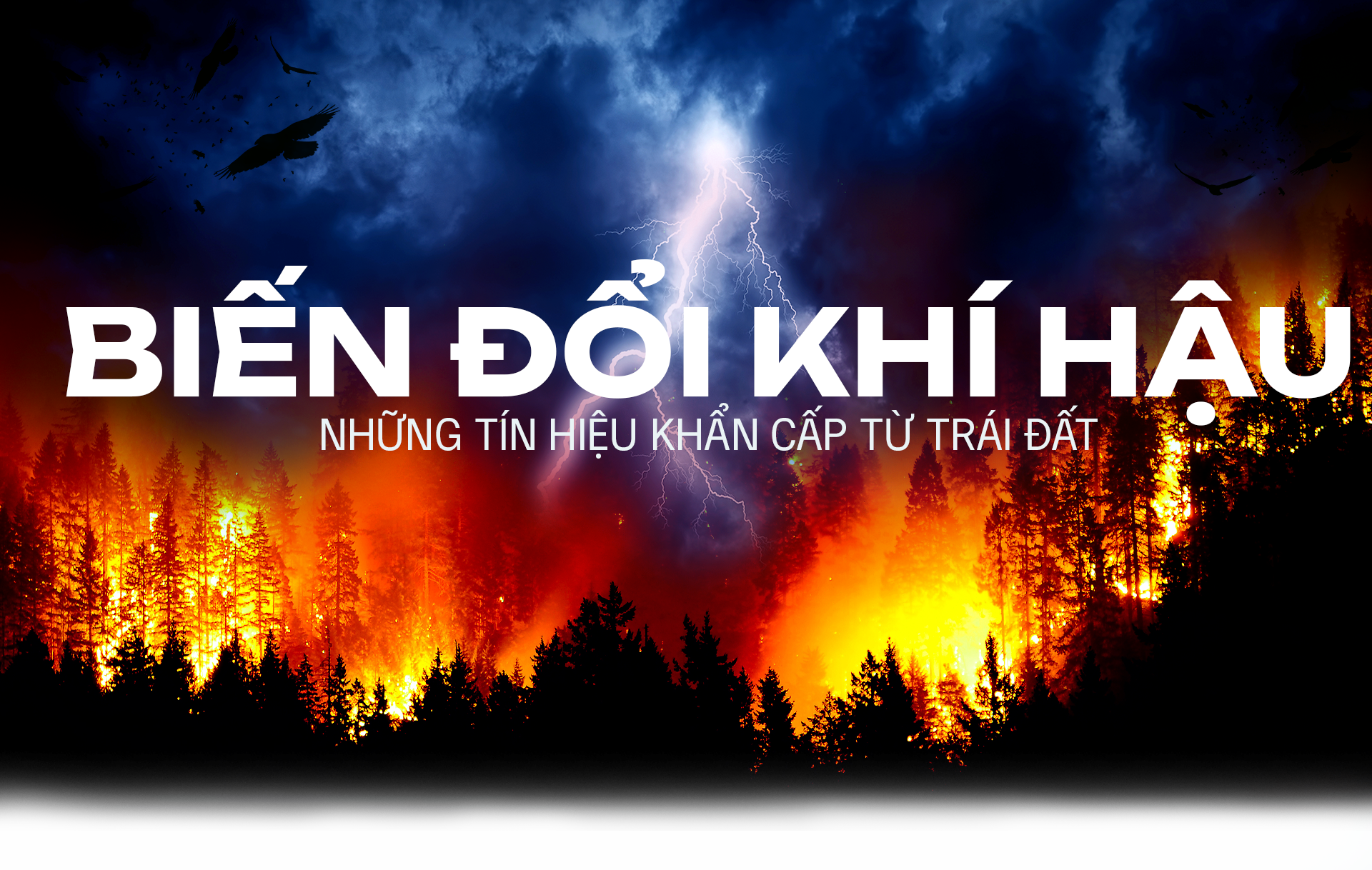 Biến đổi khí hậu – Những tín hiệu khẩn cấp từ Trái Đất