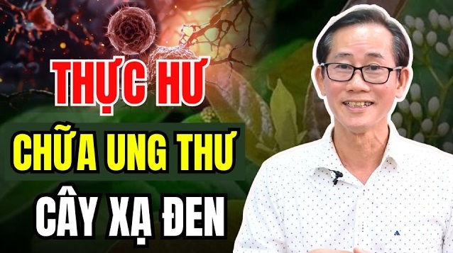 HTV Chiến thắng ung thư: Xạ đen có trị được ung thư không? - Ảnh 3.