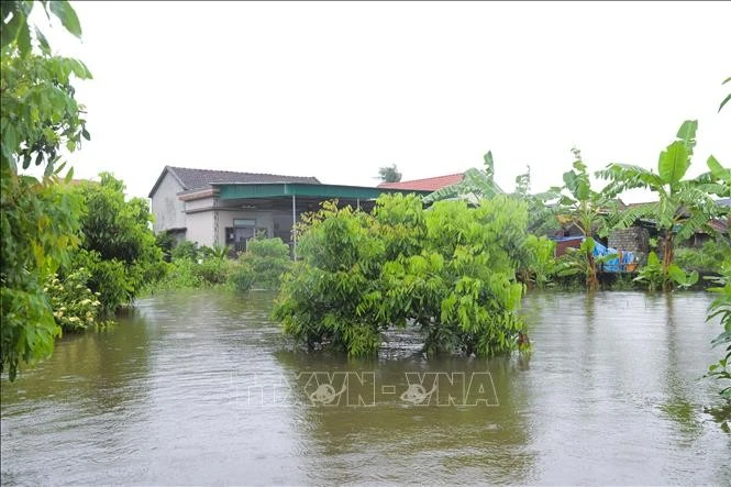 Mưa lũ gây ngập hơn 16.000 căn nhà và thiệt hại nặng nề về nông nghiệp