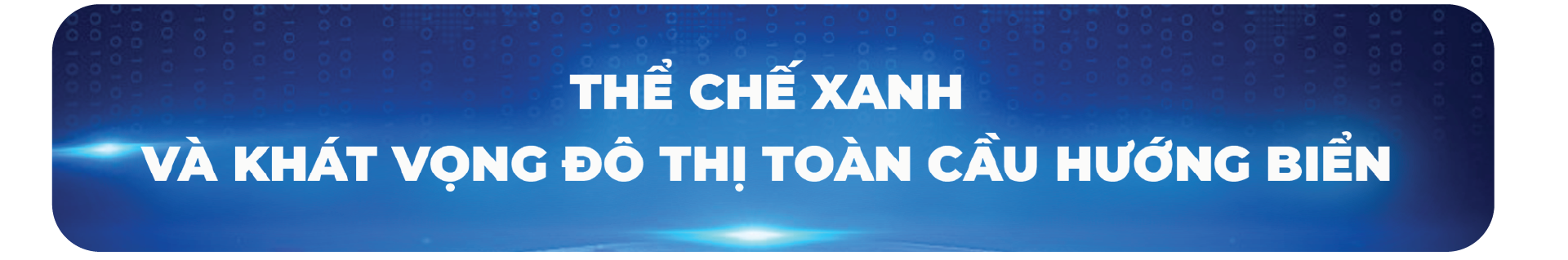 300 hải trình góp phần kiến tạo siêu vùng đô thị và khát vọng thịnh vượng phương Nam - Ảnh 9.