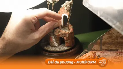Cân bằng giữa bảo tồn và khai thác san hô làm trang sức