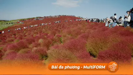 Thiên nhiên chuyển mùa đẹp mắt tại Nhật Bản và Nam Phi