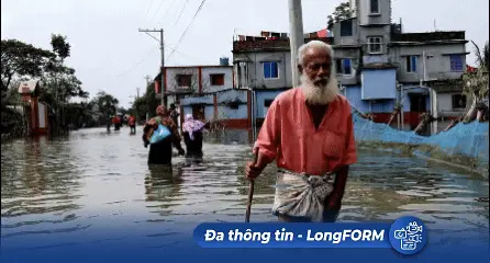 LongFORM: Hội nghị khí hậu COP29 và những kỳ vọng về bảo vệ môi trường