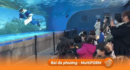 Ông già Noel vui chơi cùng chim cánh cụt tại Thủy cung Sunshine Nhật Bản
