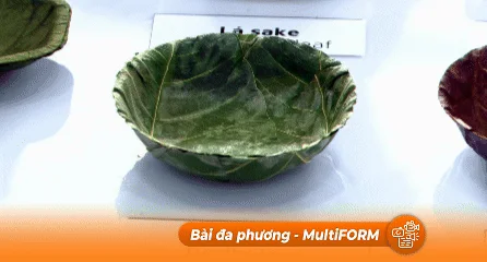 Ngày hội Sống Xanh tại HTV: "Khi cộng đồng cùng nhau hành động vì một tương lai xanh"