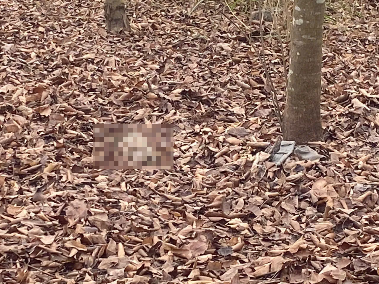 Phát hiện bộ xương trong bãi đất trống tại Nhà Bè