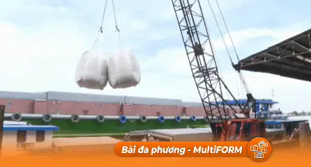 Chuyển đổi xanh không phải chỉ để xuất khẩu