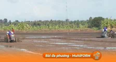 Đề án 1 Triệu hecta lúa - Hướng đi mới cho nông nghiệp bền vững vùng Đồng bằng sông Cửu Long