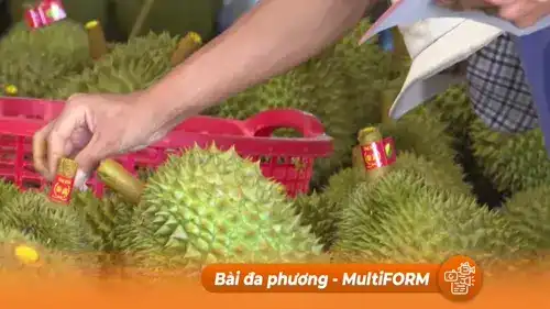 Cảnh báo: "Đánh cắp" mã số vùng trồng, rủi ro cho ngành hàng nông sản xuất khẩu