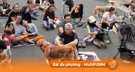 Costa Rica: Buổi hòa nhạc dành cho... cún cưng