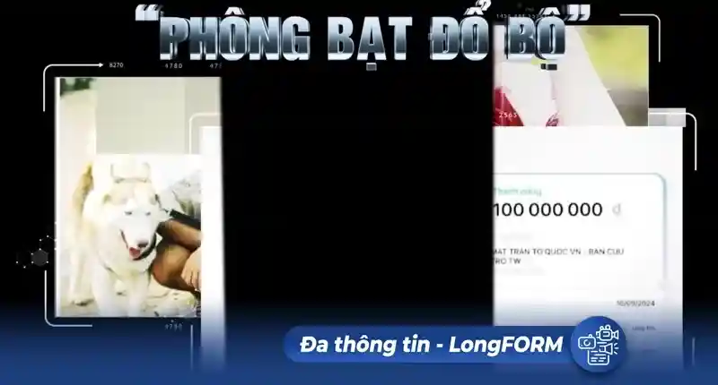 LongFORM: Phông bạt nhất thời hay uy tín một đời: Lựa chọn của bạn là gì?