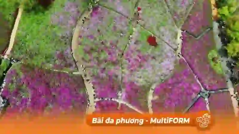 Hoa đỗ quyên khoe sắc tại lễ hội ở Hàn Quốc