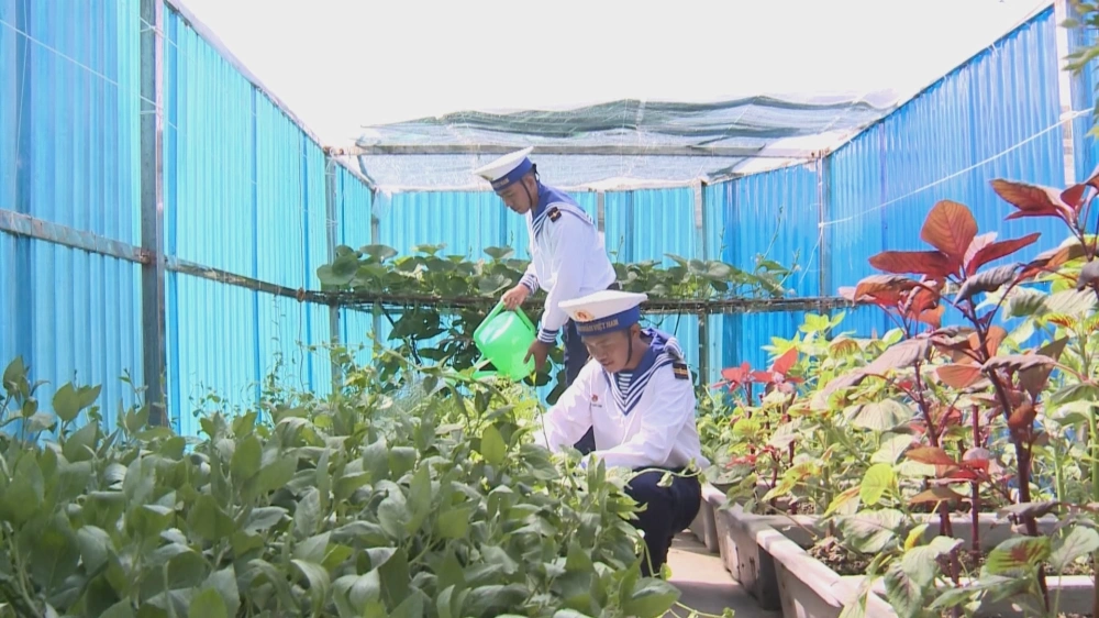 Nỗ lực bền bỉ phủ xanh biển đảo trong điều kiện khí hậu khắc nghiệt