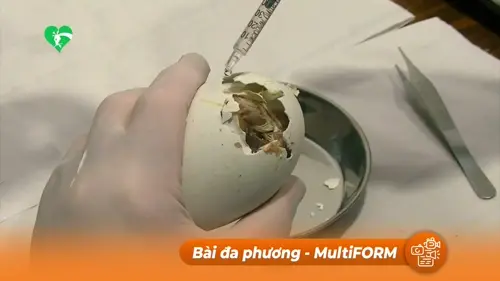 Vườn thú Italia chào đón "kền kền giáo hoàng"