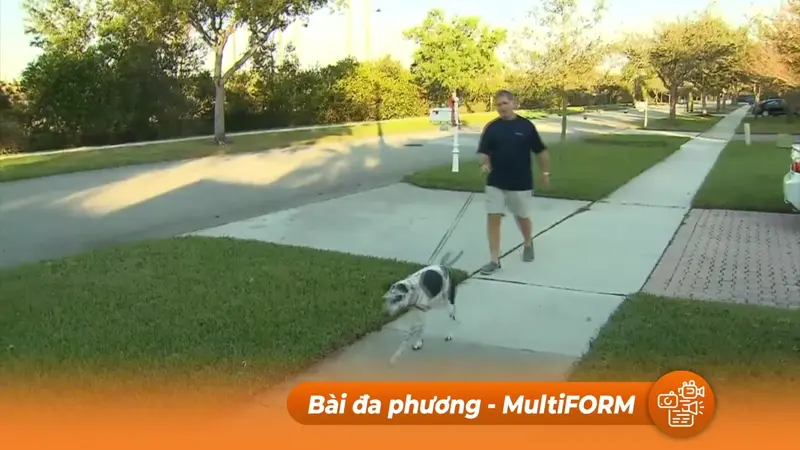 Nghiên cứu xác nhận nuôi thú cưng cải thiện sức khỏe cho người cao tuổi