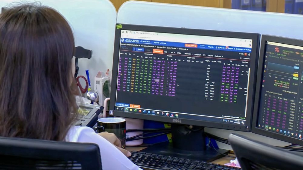 Chứng khoán Việt Nam 2025: Khi "nội lực" gặp "ngoại lực" - Ảnh 3.