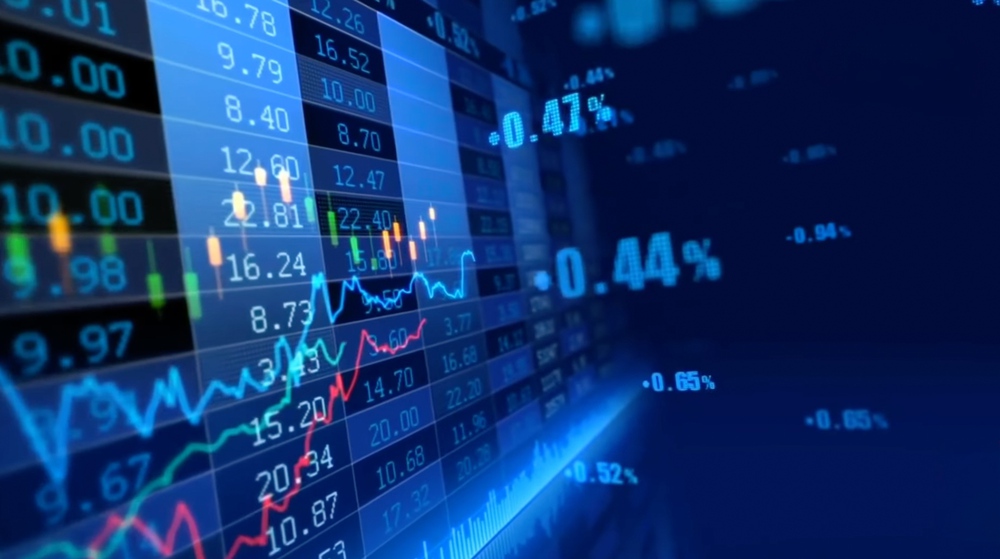 Chứng khoán Việt Nam 2025: Khi "nội lực" gặp "ngoại lực" - Ảnh 7.