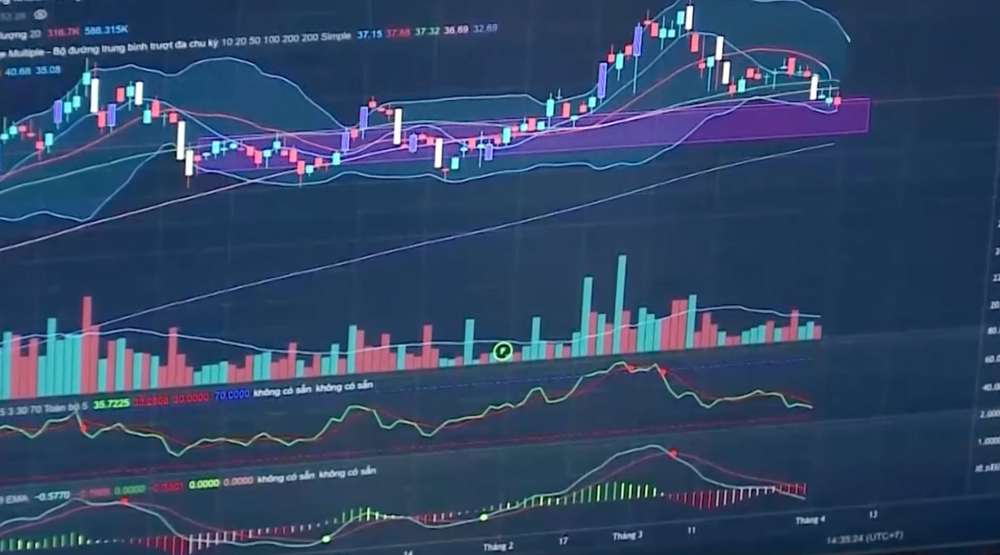 Chứng khoán Việt Nam 2025: Khi "nội lực" gặp "ngoại lực" - Ảnh 4.