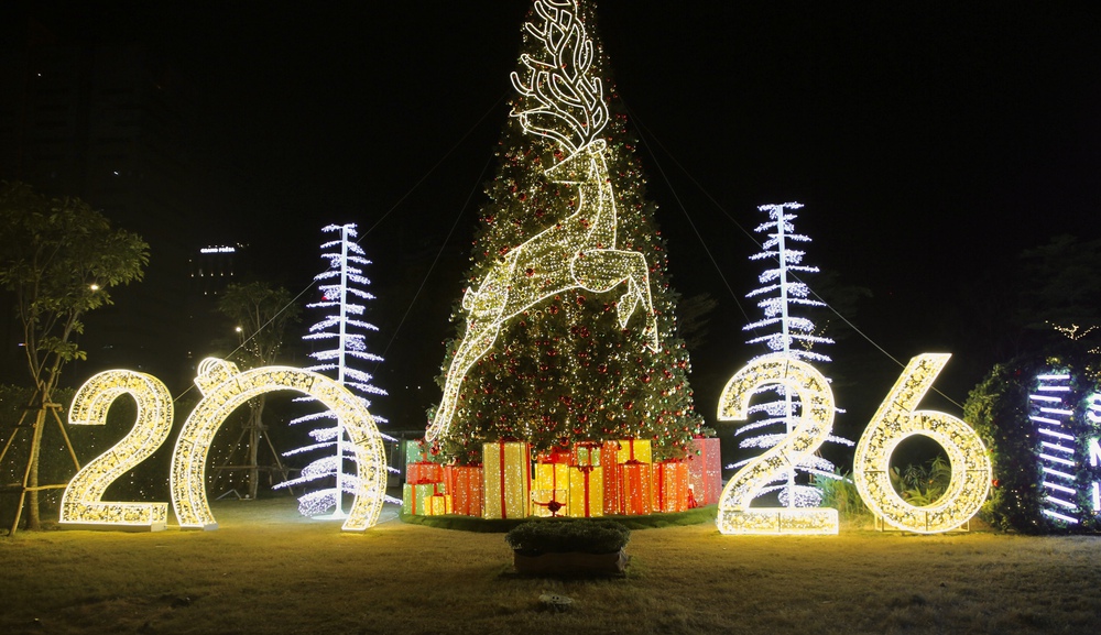 TP. Hồ Chí Minh rộn ràng không khí Giáng sinh, người dân đổ ra đường đón lễ - Ảnh 13.