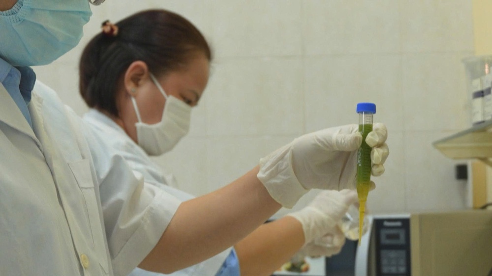 Chợ Bình Điền tăng cường điều tiết nguồn hàng phục vụ Tết Bính Ngọ 2026 - Ảnh 10.