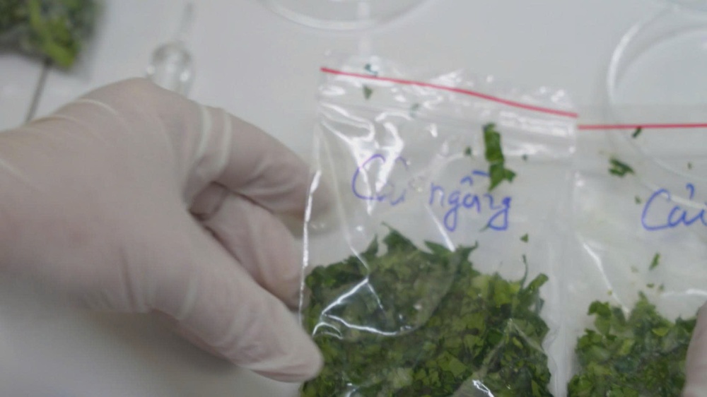 Chợ Bình Điền tăng cường điều tiết nguồn hàng phục vụ Tết Bính Ngọ 2026 - Ảnh 9.