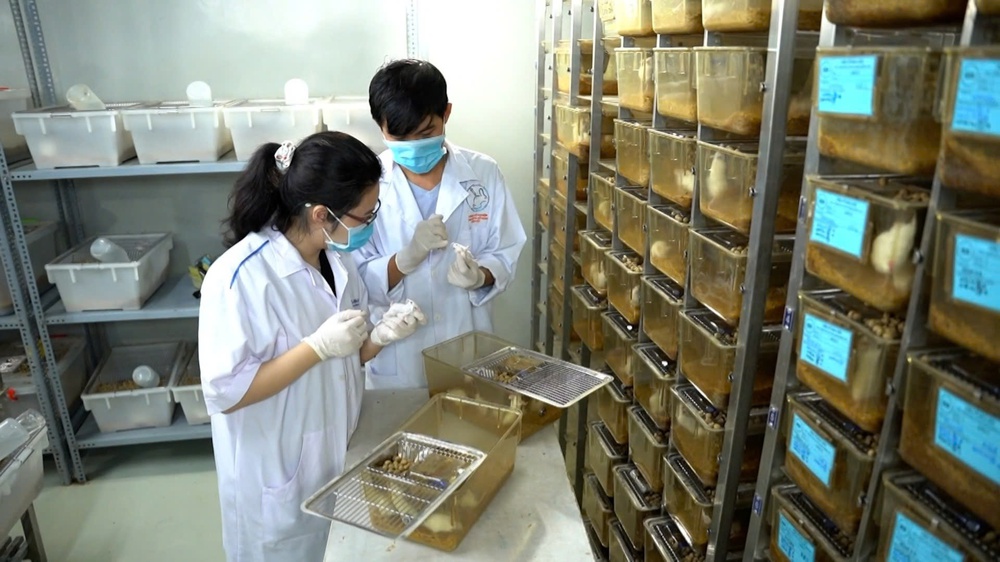 Tăng tốc xây dựng nguồn nhân lực chất lượng cao cho TP. Hồ Chí Minh giai đoạn mới - Ảnh 2.