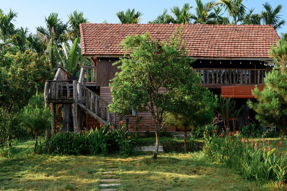 Chuyện “bỏ phố về quê” và nông trại ngựa giữa đại ngàn - Ảnh 15.