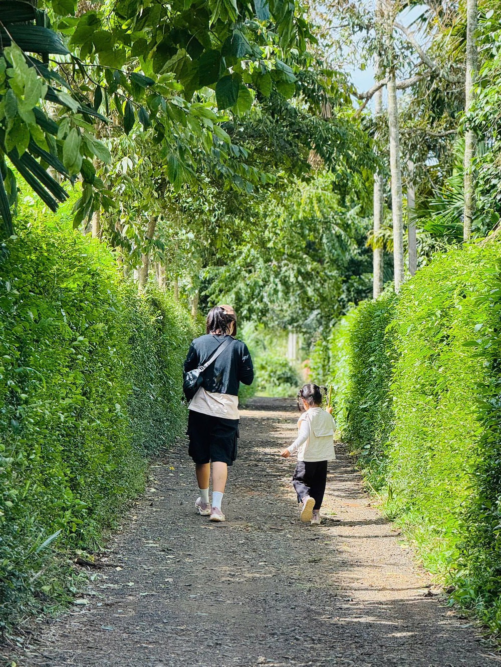 Chuyện “bỏ phố về quê” và nông trại ngựa giữa đại ngàn - Ảnh 14.