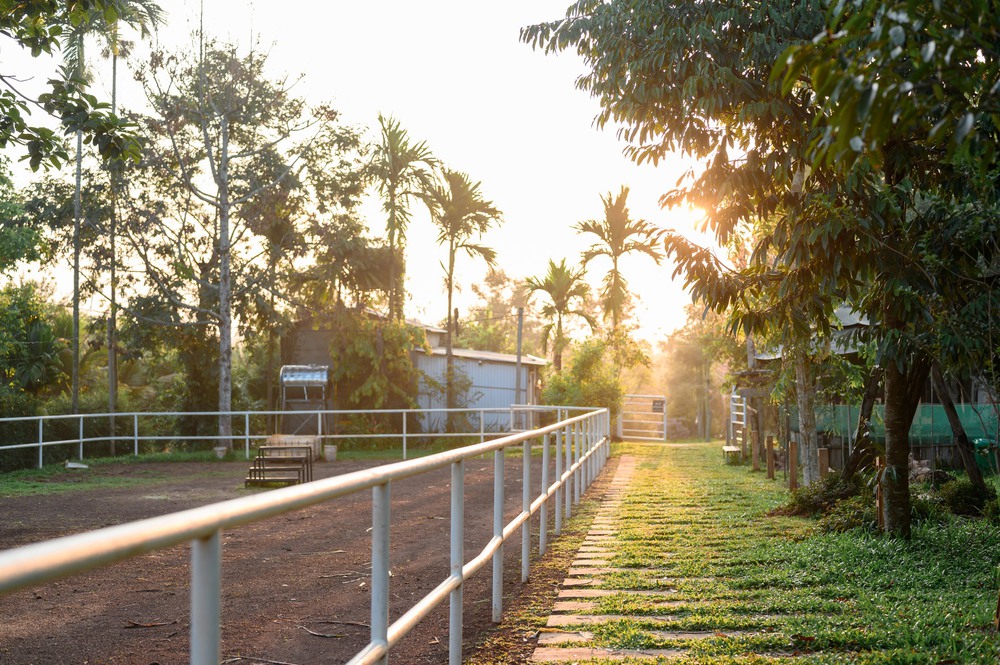 Chuyện “bỏ phố về quê” và nông trại ngựa giữa đại ngàn - Ảnh 17.