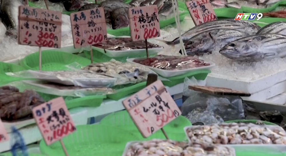 Kỷ nguyên Takaichi Sanae: Nữ Thủ tướng đầu tiên và bước ngoặt lịch sử của Nhật Bản - Ảnh 8.