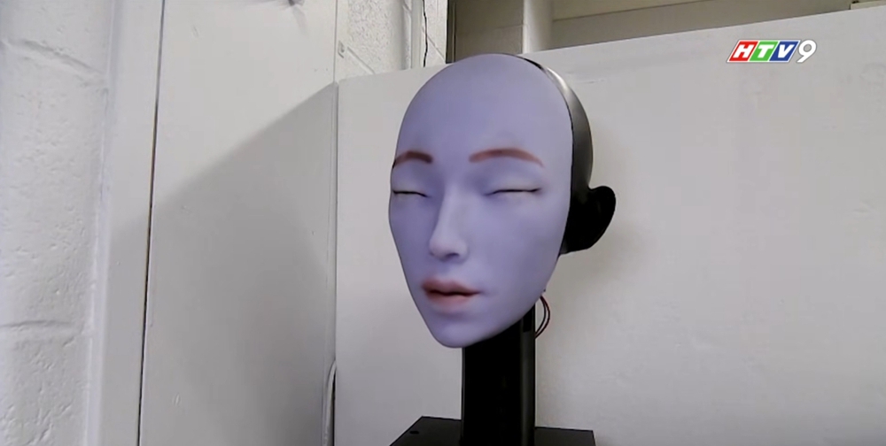 Robot hình người: Tham vọng công nghệ và bài toán con người - Ảnh 7.