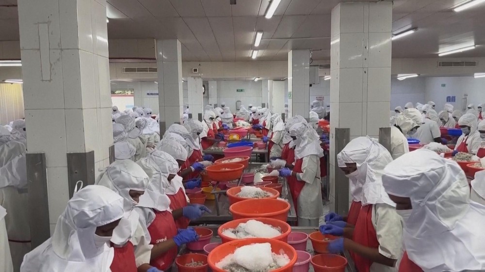 NRTG: THỎA THUẬN EU - ẤN ĐỘ - Ảnh 7.