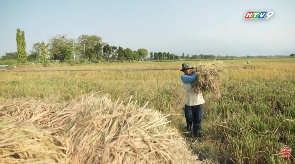 NRTG: Hiện tượng El Nino 2026: Trận "cuồng phong" nhiệt độ và những gam màu sáng tối của các ngành nghề toàn cầu - Ảnh 4.