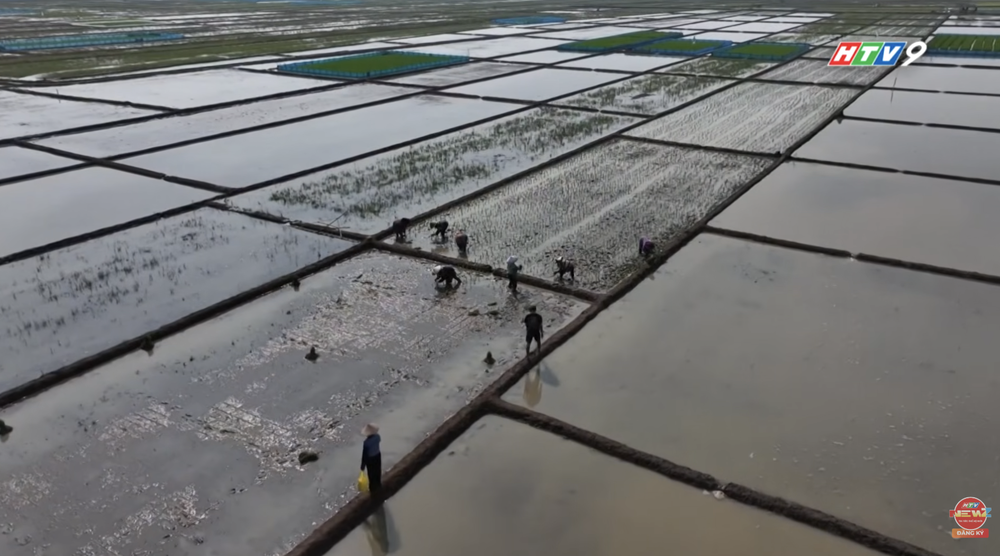 NRTG: Hiện tượng El Nino 2026: Trận "cuồng phong" nhiệt độ và những gam màu sáng tối của các ngành nghề toàn cầu - Ảnh 8.