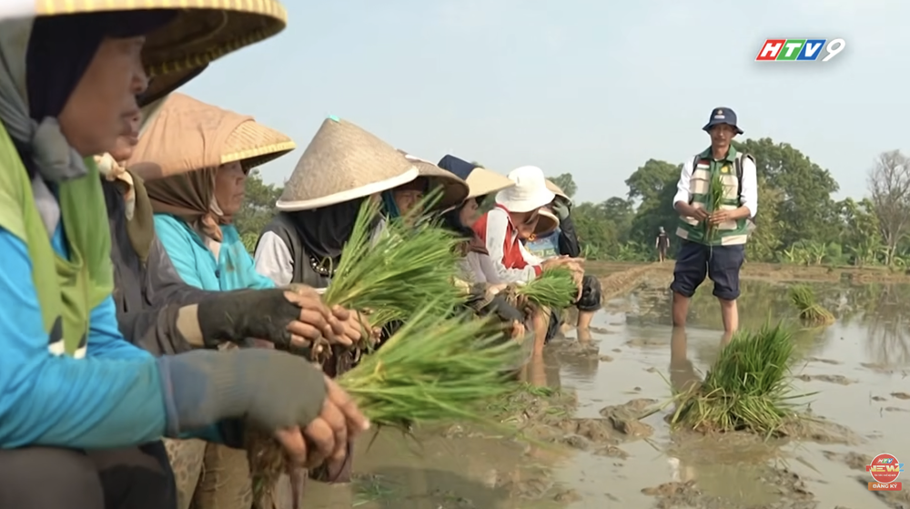 NRTG: Hiện tượng El Nino 2026: Trận "cuồng phong" nhiệt độ và những gam màu sáng tối của các ngành nghề toàn cầu - Ảnh 9.