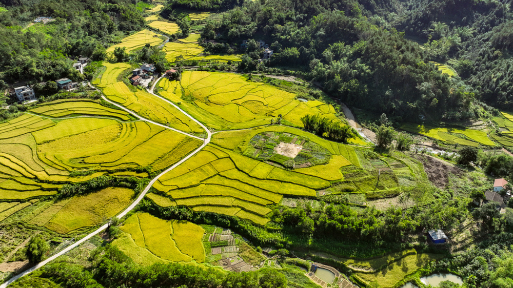 “Rạng rỡ Quảng Ninh” - Khi doanh nhân kể chuyện quê hương bằng âm nhạc - Ảnh 9.