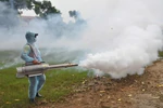 Không chủ quan với dịch bệnh Chikungunya