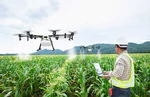 EU đẩy nhanh số hóa nông nghiệp