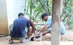Đắk Lắk: Khẩn trương tiêm phòng bệnh dại