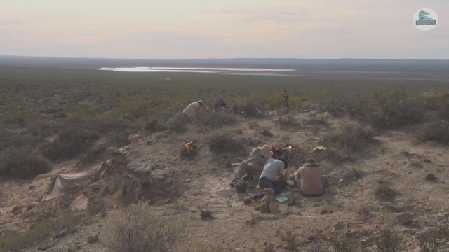 Argentina phát hiện hóa thạch khủng long quý hiếm ở vùng Patagonia - Ảnh 1.