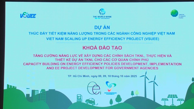 Tập huấn nâng cao năng lực sử dụng năng lượng tiết kiệm và hiệu quả cho cán bộ quản lý địa phương tại TP. Hồ Chí Minh - Ảnh 4.