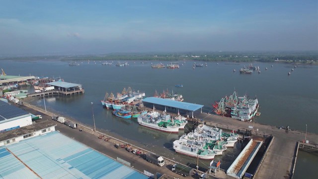 TP. Hồ Chí Minh: Tăng cường kiểm tra công tác chống khai thác bất hợp pháp - Ảnh 2.