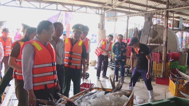 TP. Hồ Chí Minh: Tăng cường kiểm tra công tác chống khai thác bất hợp pháp - Ảnh 3.