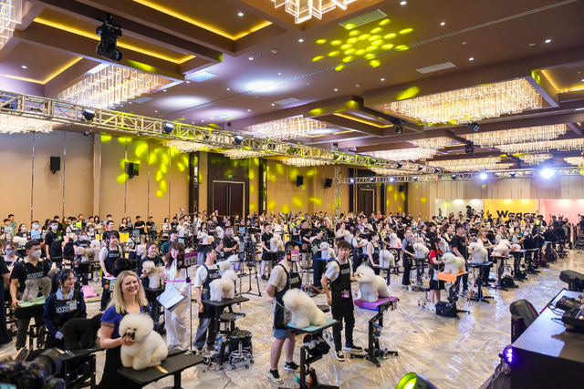 Hyponic Vietnam Grooming Competition 2025 – Sân chơi chuyên nghiệp tôn vinh nghệ thuật cắt tỉa thú cưng Việt Nam - Ảnh 2.